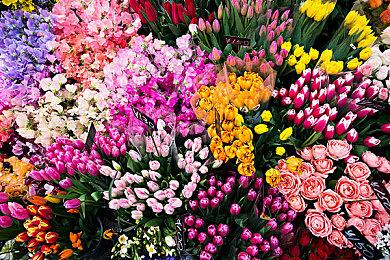 《Shujinkou》Steam试玩发布 3D迷宫RPG